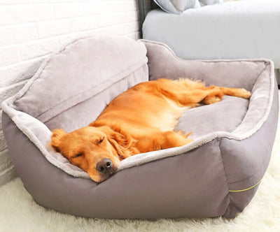 Professional Dog bed sofa bed kits