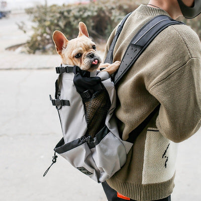 Professional Pet Dog Carrier Bag Carrier For Dogs Backpack Out Double Shoulder Portable Travel Backpack Outdoor Dog Carrier Bag Travel kits
