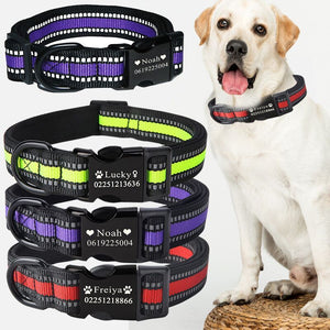 Professional Custom dog collar kits