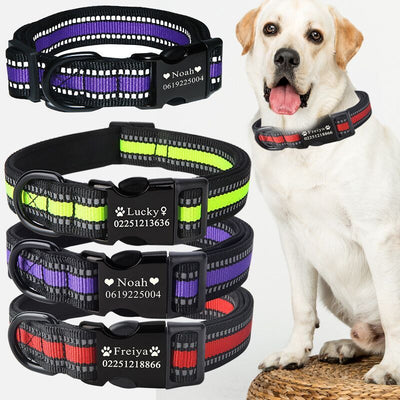 Professional Custom dog collar kits