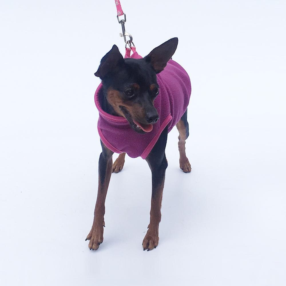 Professional Pet clothing Dog clothing kits