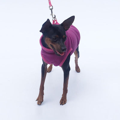 Professional Pet clothing Dog clothing kits
