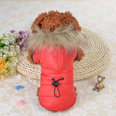 Professional Pet down cotton clothing kits
