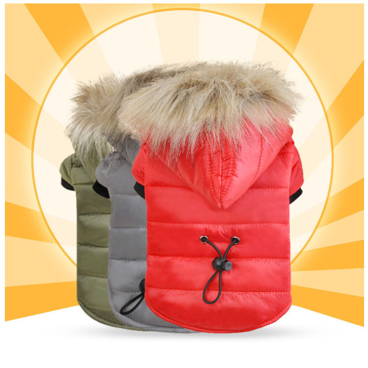 Professional Pet down cotton clothing kits