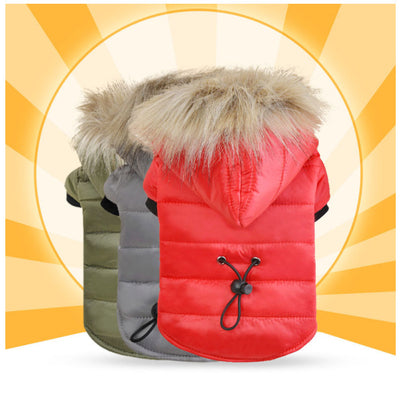 Professional Pet down cotton clothing kits
