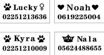 Professional Custom dog collar kits