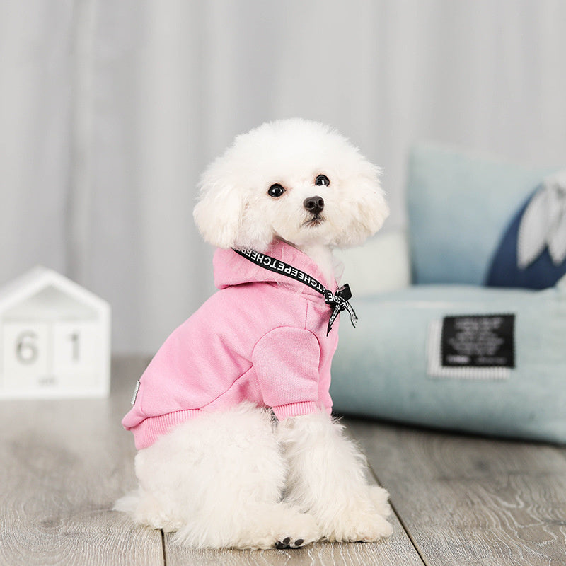 Professional New pet clothing kits