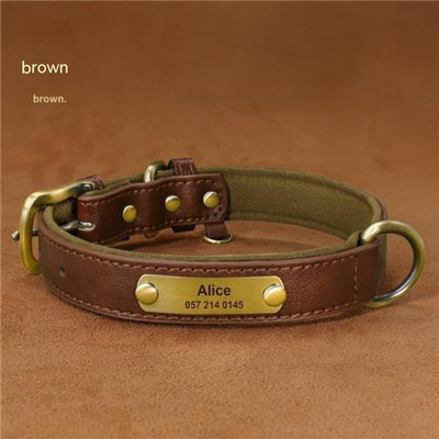 Professional Dog Collar Engraved With Lettering To Prevent Loss Of Neck Collar kits