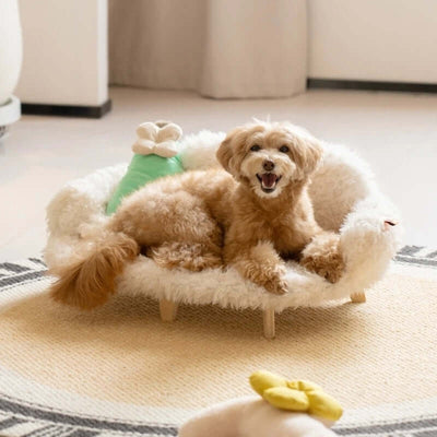 Professional Kennel Dogs And Cats Bed kits