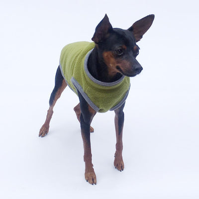 Professional Pet clothing Dog clothing kits