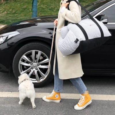 Professional Pet Travel Dog Safety Car Carrier kits