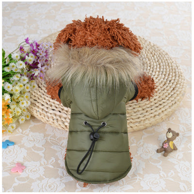 Professional Pet down cotton clothing kits