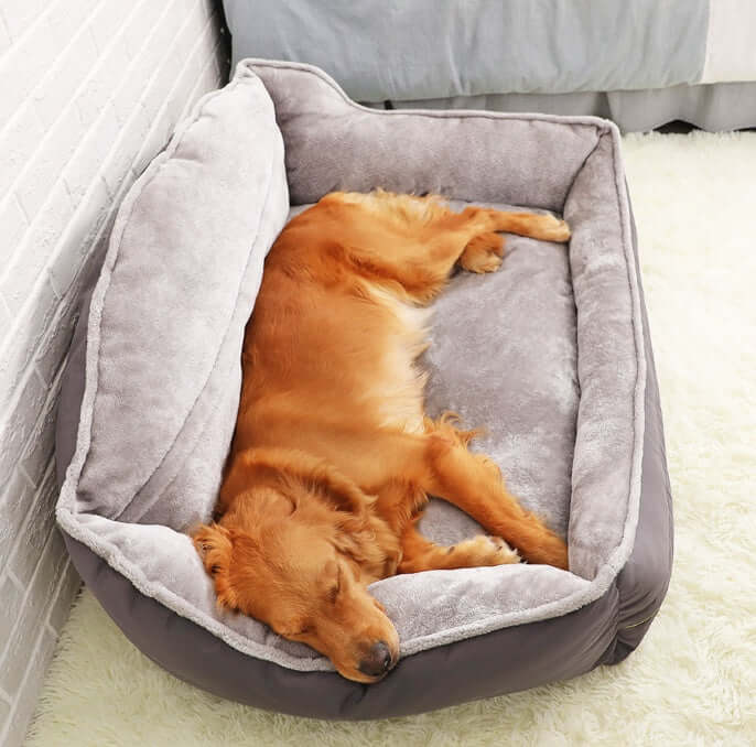 Professional Dog bed sofa bed kits