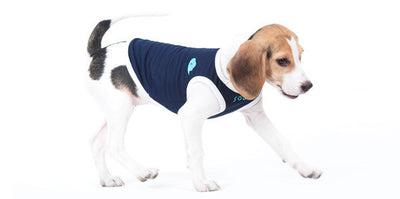 Professional Pet Clothing Dog Vest Two-legged Clothing kits