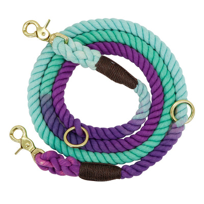 Professional Gradient Color Dog Collars Accessories Leashes Rope Metal Chain Collar Strap Pet Outdoor Walking Training Long Traction Rope kits