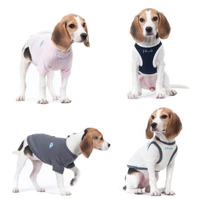 Professional Pet Clothing Dog Vest Two-legged Clothing kits