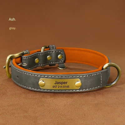 Professional Dog Collar Engraved With Lettering To Prevent Loss Of Neck Collar kits
