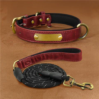 Professional Dog Collar Engraved With Lettering To Prevent Loss Of Neck Collar kits