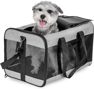 Professional Dog Cat Carriers Bags Car Portable Transport Pet Bag Cage Portable Pet Foldable Outgoing Travel Breathable Pets Handbag kits