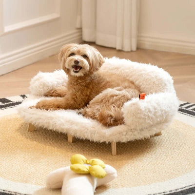 Professional Kennel Dogs And Cats Bed kits