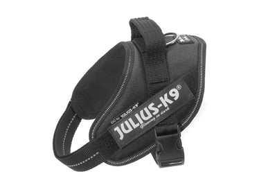 Professional Dog Supplies Can Be Customized Towing Rope For Medium And Large Dogs kits