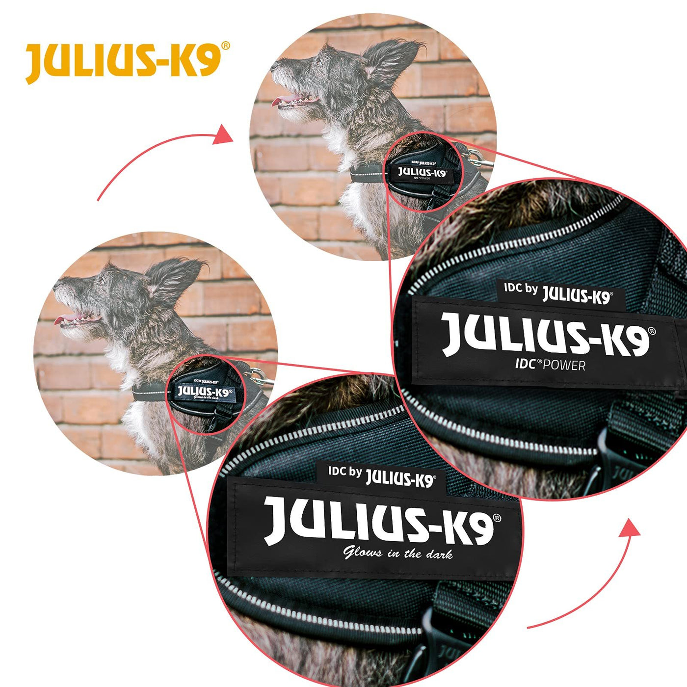 Professional Dog Supplies Can Be Customized Towing Rope For Medium And Large Dogs kits