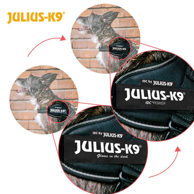 Professional Dog Supplies Can Be Customized Towing Rope For Medium And Large Dogs kits