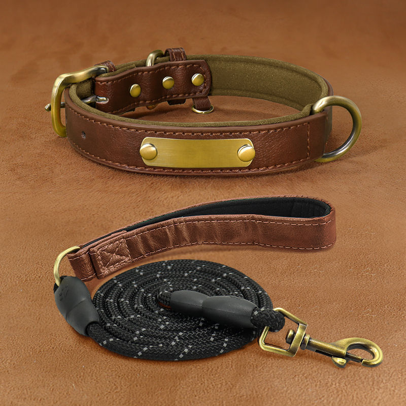 Professional Dog Collar Engraved With Lettering To Prevent Loss Of Neck Collar kits