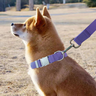 Professional Waterproof Adjustable Silicone Pet Traction Rope kits