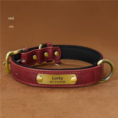 Professional Dog Collar Engraved With Lettering To Prevent Loss Of Neck Collar kits
